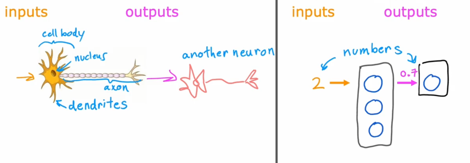 file-20241022150702036